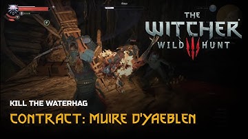The Witcher 3 Wild Hunt | Contract: Muire D