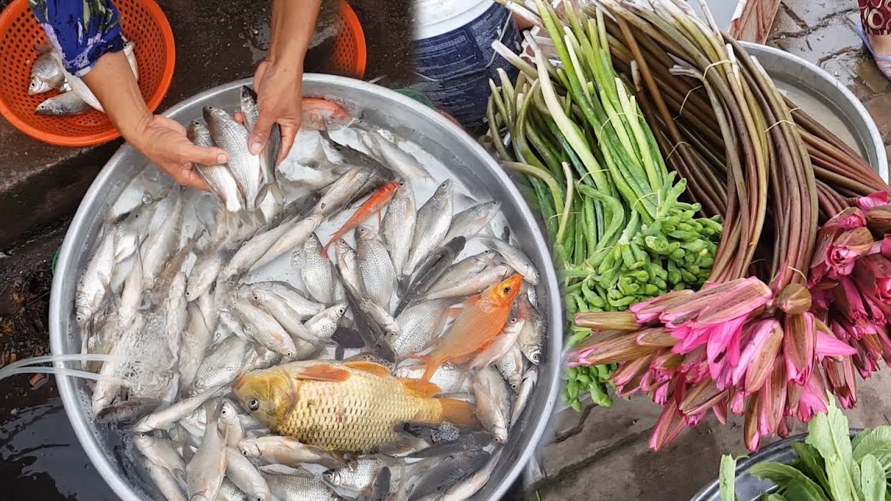 Asian Street Food Market - Water Lily & Hilsa Fish - Vietnamese Food | Street Food And Travel