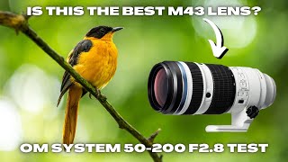 OM System 50-200 F2.8 Tested in a Giant Indoor Rainforest OM-1 MKII