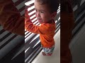 Yudi querendo o Papai