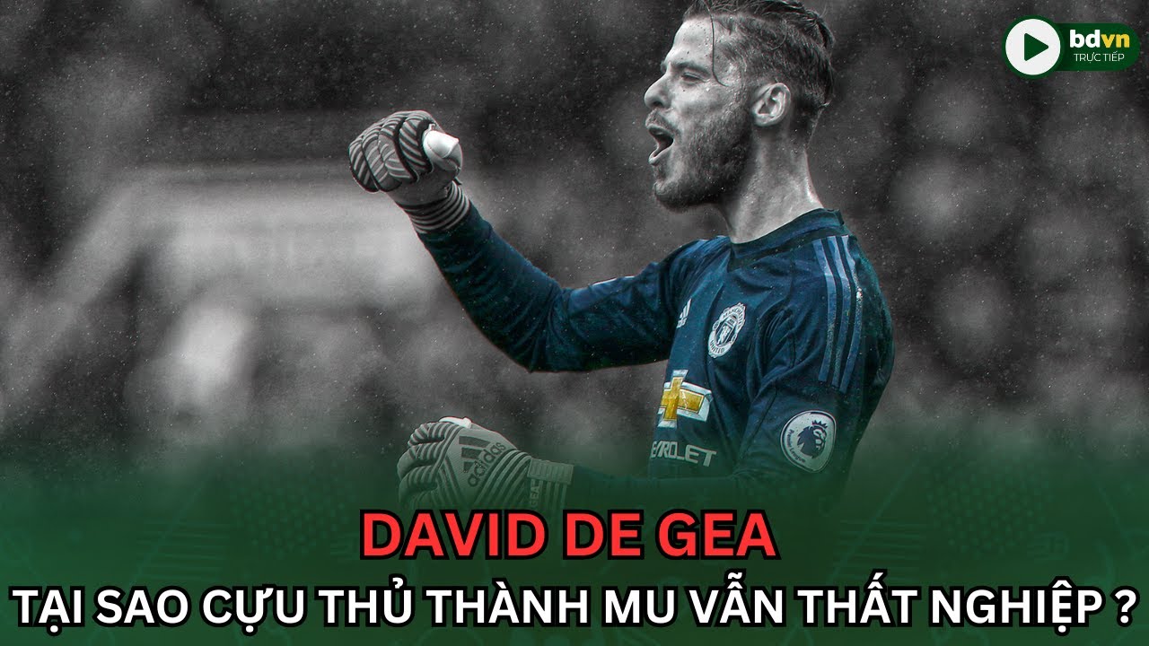 BDVN l DAVID DE GEA: TƯƠNG LAI NÀO ĐANG CHỜ ĐỢI CỰU THỦ THÀNH CỦA MANCHESTER UNITED ?