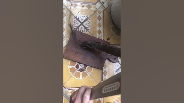 Dao Chặt 2 Màu Cực Chất