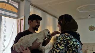 MAHMOUD’S SHOCKING CONDITION LEFT NAHID IN TEARS!😢💔