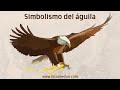 ⚜️El simbolismo del águila