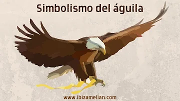 ¿Es el águila un símbolo de Jesús?