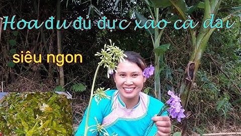 thử chưa - hoa đu đủ xào cà dại,măng ngọt xào lá đu đủ cực ngon..
