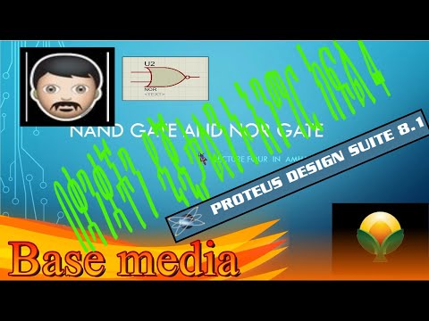 protus8.1 lecture four  in  Amharic