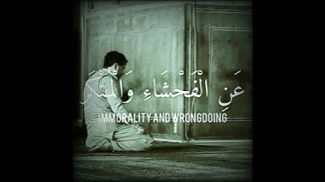 ان الصلاة تنهى عن الفحشاء والمنكر 🌹 شريف مصطفى حالات واتس اب دينية قصيرة مؤثرة قرآن كريم تلاوة خاشعة