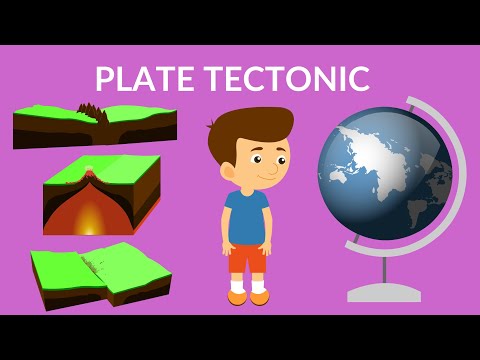 Video: Care este teoria plăcilor tectonice clasa 9?