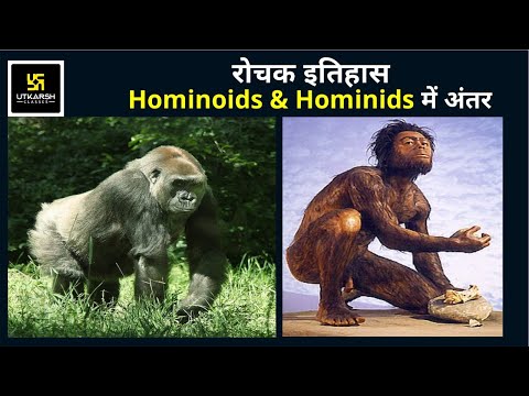 वीडियो: क्या होमिनिड्स की पूंछ होती है?