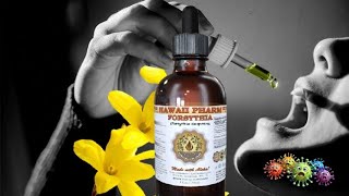The Forsythia Experiment: Does it work?