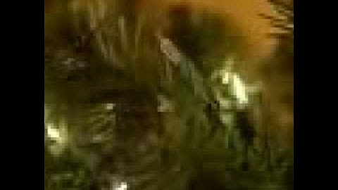 Pre Lit Tree Assembly Video