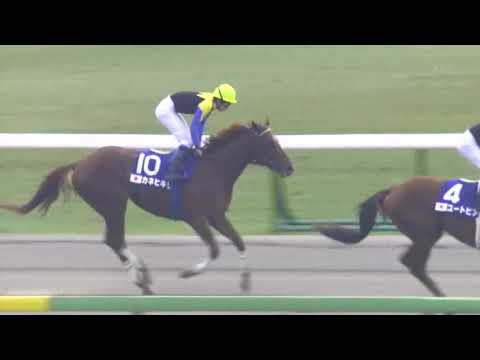 現地購入的中単勝馬券【2002年ジャパンカップダート】イーグルカフェ JRAホームページ｜データファイル｜競走成績データ