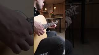 Dirge For The Planet - Acoustic Guitar