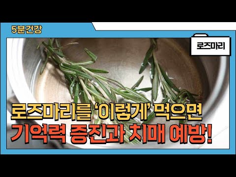 로즈마리의 놀라운 효능과 주의점 (고르는법, 손질법, 보관법 포함)