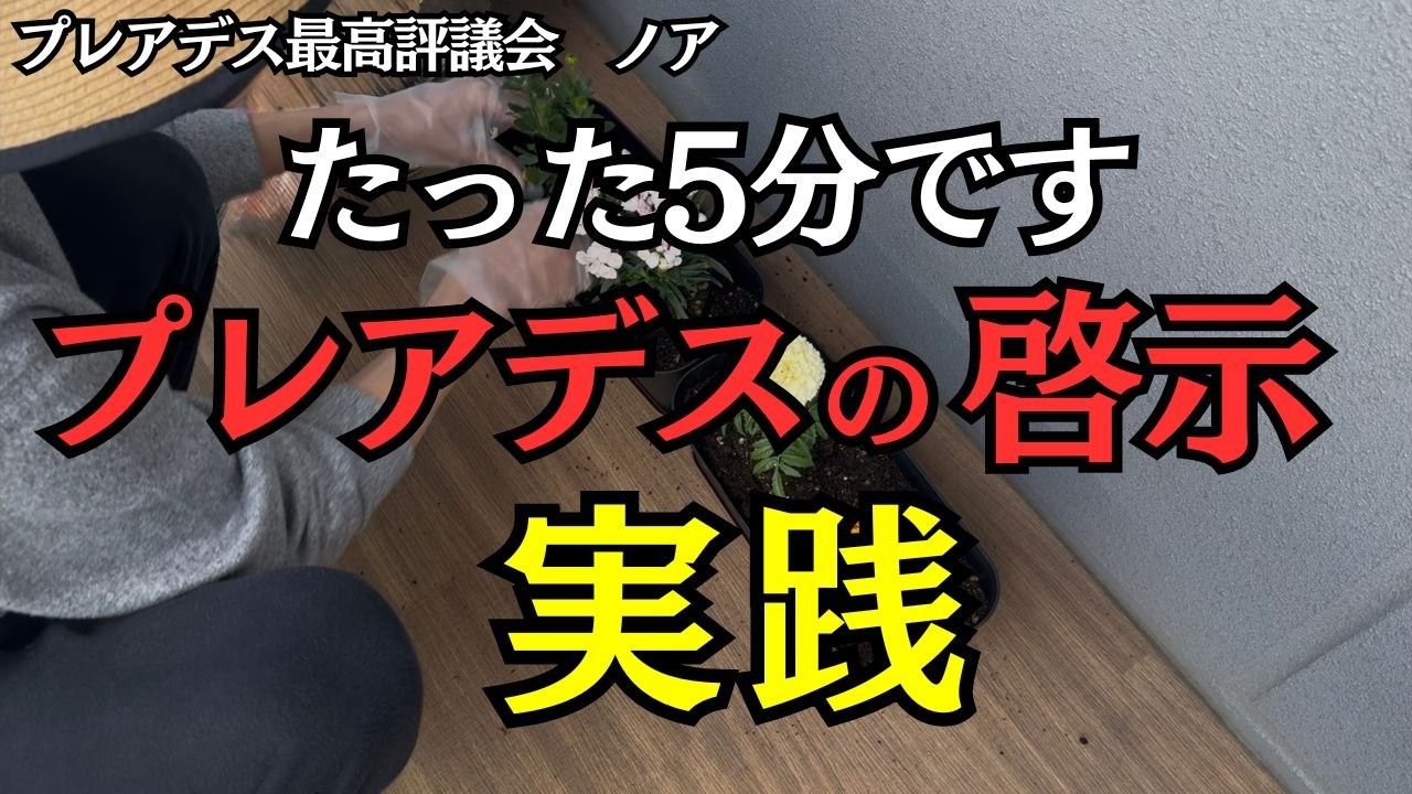 【たった5分です】プレアデスの啓示を実践してみました。【プレアデス最高評議会】