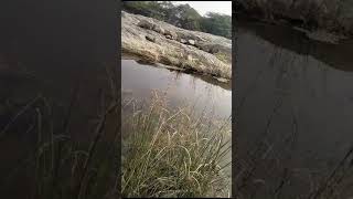 lovenatures waterfall forest stone subscribe new riverside pahadi fishing rainfallviral