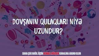 Dovşanın qulaqları niyə uzundur? - Şifahi xalq ədəbiyyatı