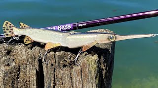 Pointiest Bait Ever | Making Longnose Gar SwimBait