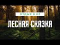 Лесная сказка / Доступный отдых в Казахстане