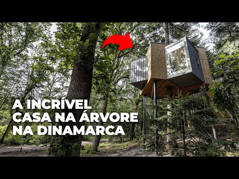 Vídeo: Treetop Da Dinamarca Experimente A Torre Da Floresta, Como Visitar E Ingressos