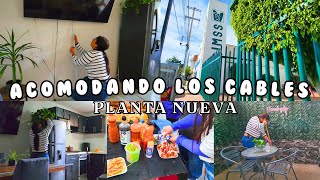 poniendo canaleta ✅️ limpiando el patio ✨️ fuimos al imss