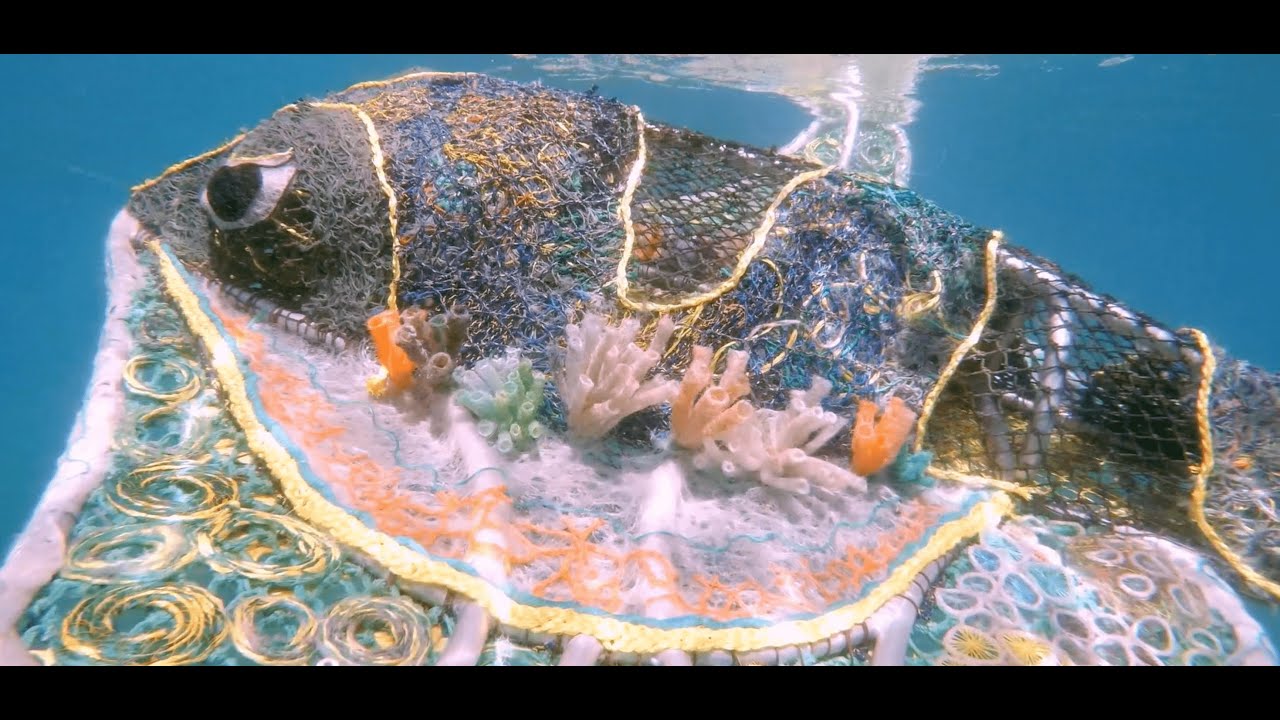 Beyond the Shoreline: Art Practice for Marine Conservation Efforts