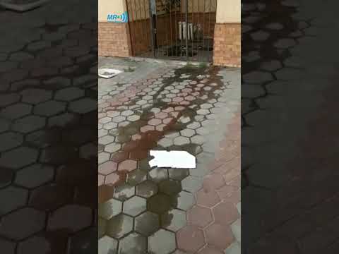 الإسكان الاجتماعى الشيخ زايد جمصة مساكن بدون خدمات بدون أمن بدون مدارس وبدون ضمير