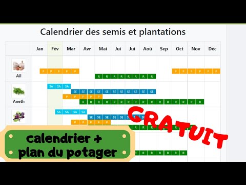 Vidéo: 4 façons de créer un calendrier de jardinage
