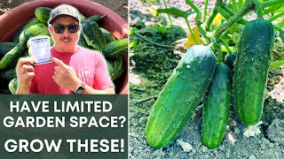3 REASONS YOU SHOULD BE GROWING THESE!
