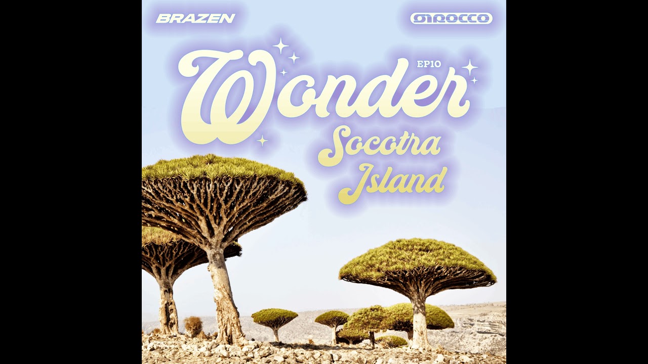 Socotra Island | Wonder
