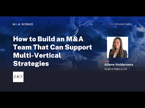 How to Building an M&A Team That Can Support Multi-Vertical Strategies | Ailene Holderness