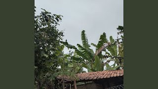 Tak seindah ku bayangkan