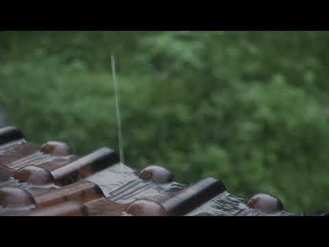 Gentle Rain Drops Sound on Rooftop | Perfect for Sleep, Relaxation, Insomnia, PTSD