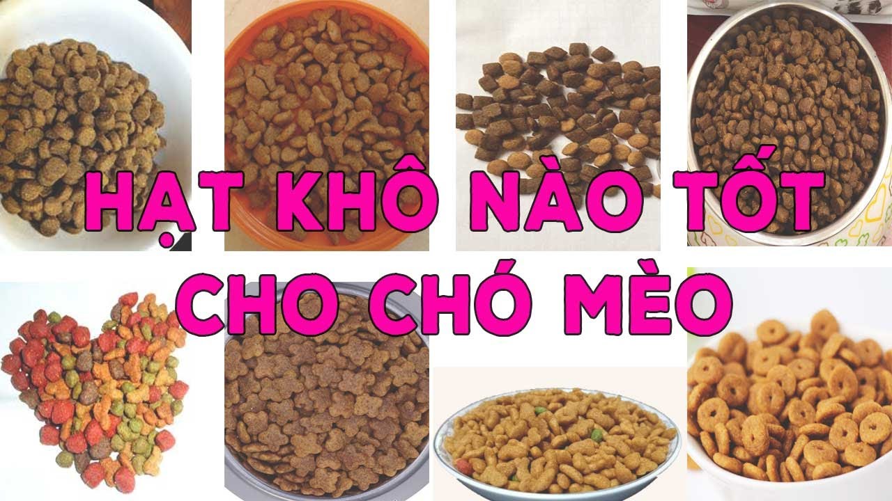 thuc an cho New Cách chọn thức ăn hạt khô tốt cho chó mèo || Kiến thức nuôi chó mèo