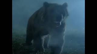 Bear (Berserker 1987) Sounds