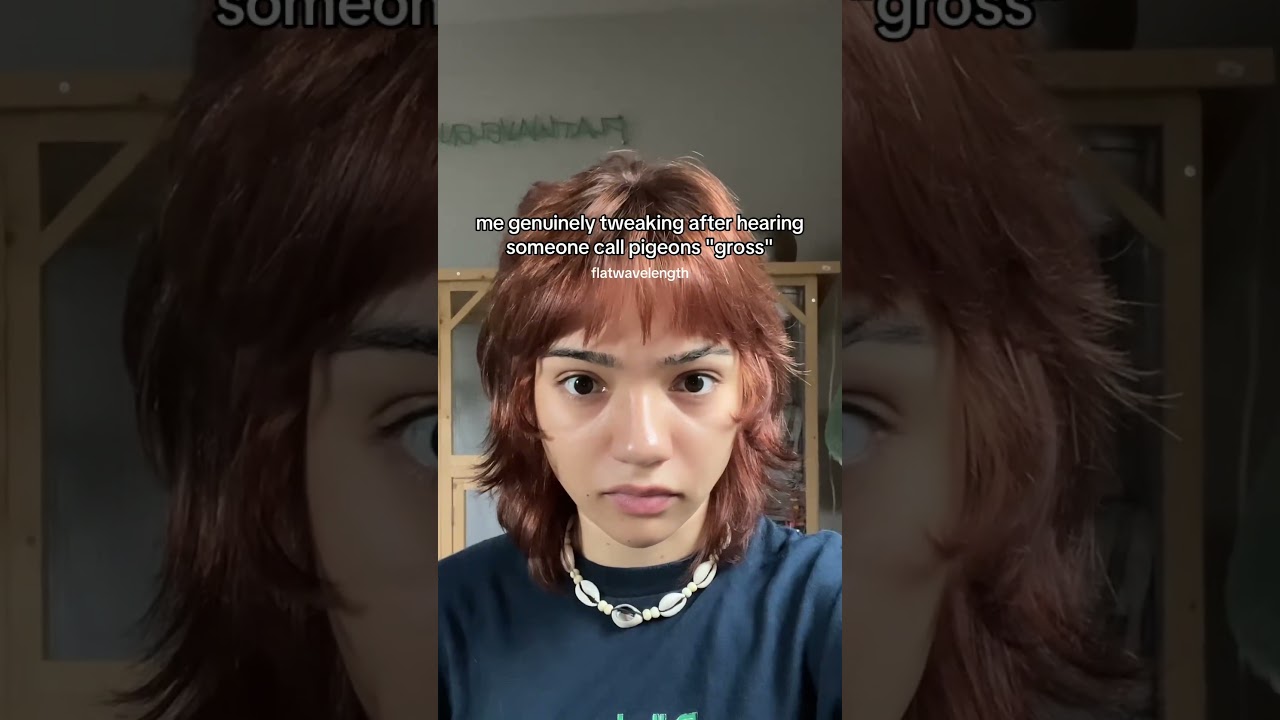 pigeons aren't gross.