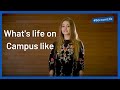 #BocconiLife - What's life on Campus like