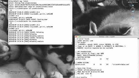 CoreDNS 101 with Cricket Liu: Setting up CoreDNS as a recursive DNS server in a Docker environment