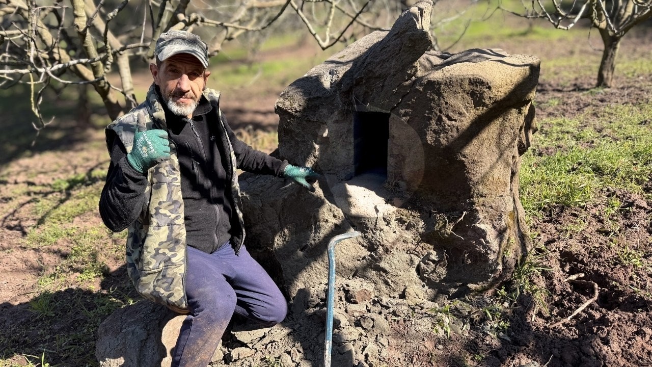 В самом сердце фигового сада, в таинственном камне, был обнаружен сундук с сокровищами!!!