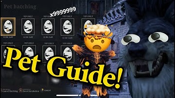 Bless Unleashed Pet Tutorial | How to Hatch, Level, and Upgrade Pets!