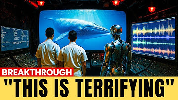 Scientists Just Decoded Language of the Whales Using AI, And It