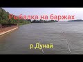 Рыбалка на  р.Дунай