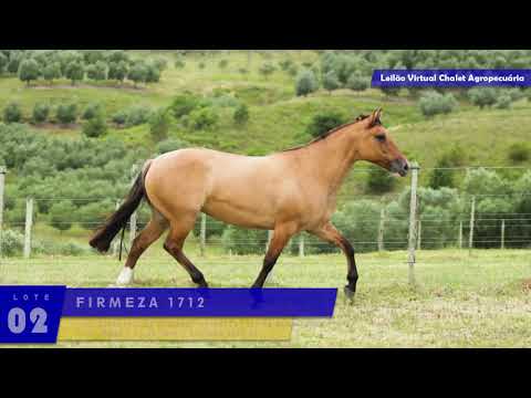 LOTE 02 - Firmeza 1712