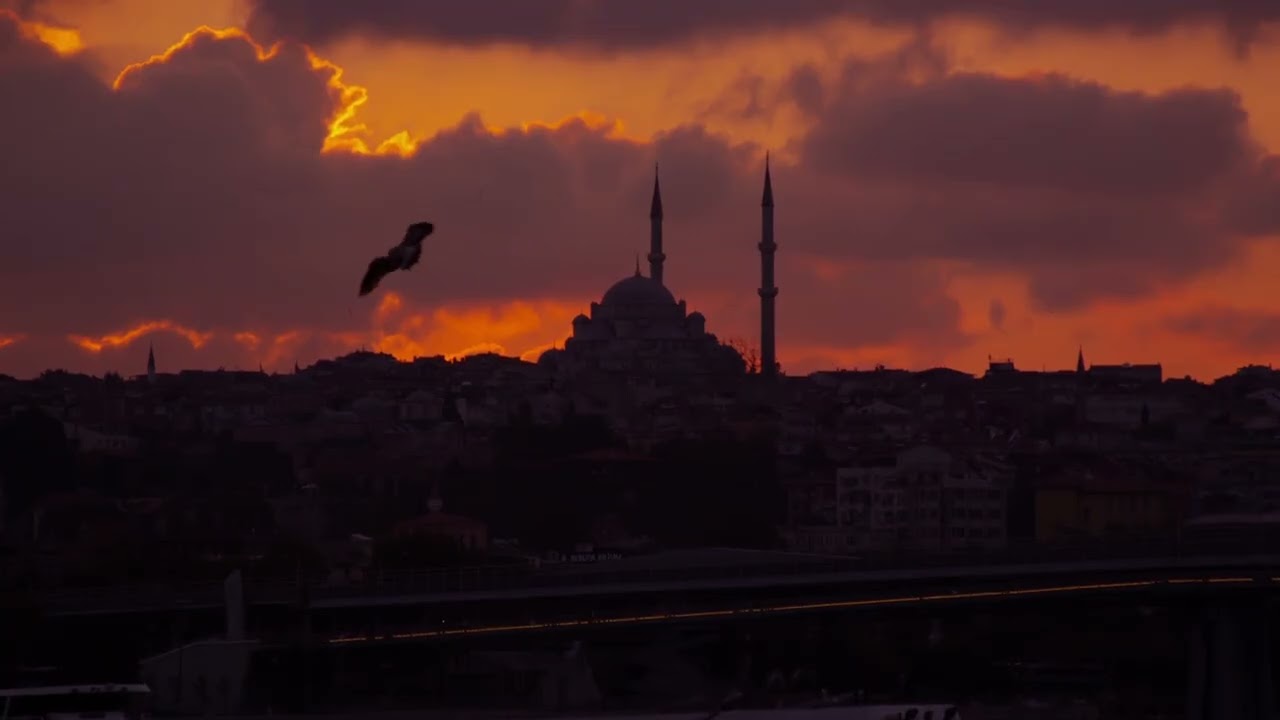 Able Heart | American Dervish