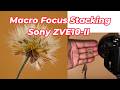 Macro Focus Stacking, Chụp ảnh Macro bằng Sony ZVE10-II (ZVE10M2) và  Lens Macro FE 2.8/50 Macro