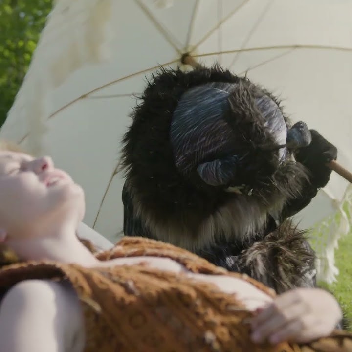 Solstolen (Djungelboken - The Musical)