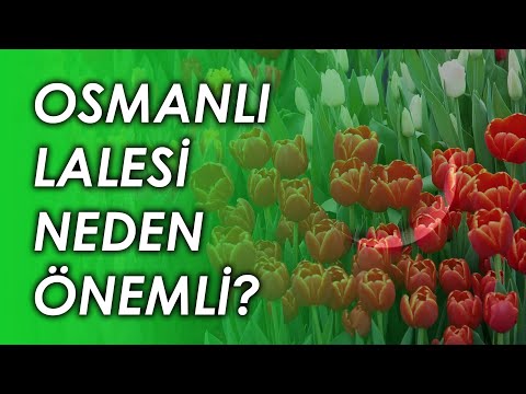 OSMANLI'NIN SİMGESİ NEDEN LALE? | Kültür Mirası #1