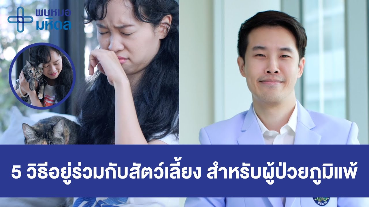5 วิธีอยู่ร่วมกับสัตว์เลี้ยง สำหรับผู้ป่วยภูมิแพ้ | พบหมอมหิดล