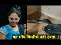 || गुस्सैल पर बिना जहरवाला साँप || Checkered keelback rescued from a cloth store ||